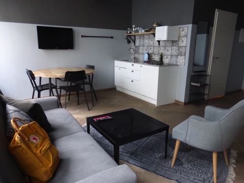Swan House, Rekjavik, living area